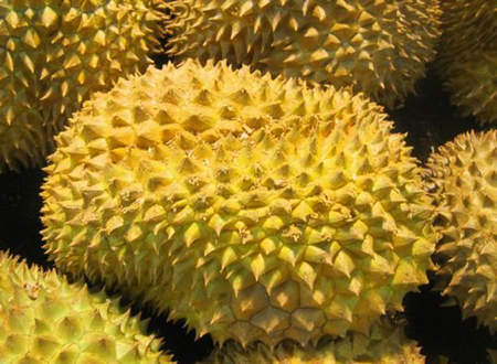 肠炎能不能吃榴莲千层 肠炎能不能吃榴莲千层