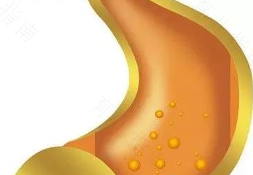 胆汁反流性胃炎不能吃 胆汁反流性胃炎不能吃