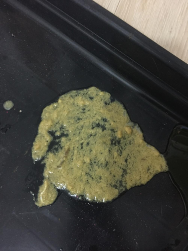 拉稀水和呕吐怎么回事 拉稀水和呕吐怎么回事