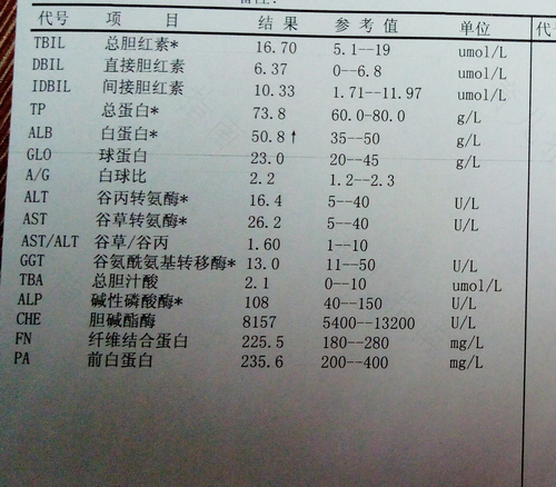 乙肝dna10的3次方高吗 孕妇 乙肝dna10的3次方高吗 孕妇