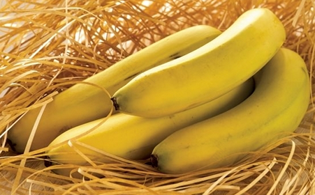胃疼能不能吃香蕉吗 胃疼能不能吃香蕉吗