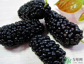 老年人大便黑色是什么原因 老年人大便黑色是什么原因