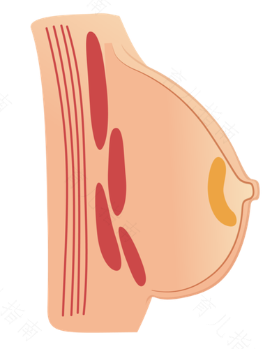 乳头变深色是怎么回事 乳头变深色是怎么回事