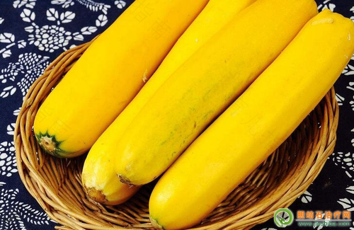 胆结石能不能吃香蕉吗 胆结石能不能吃香蕉吗