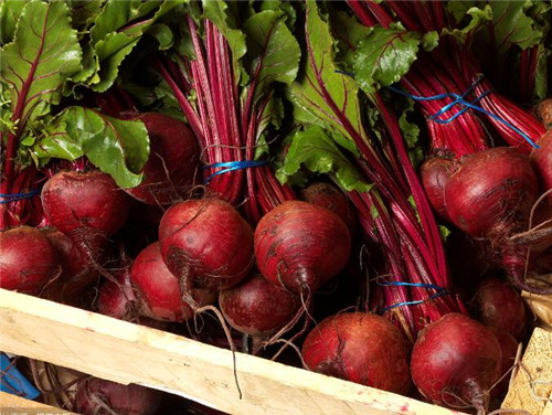 红甜菜根糖尿病人能吃吗 红甜菜根糖尿病人能吃吗