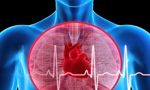 心率过快怎么调理 心率过快怎么调理