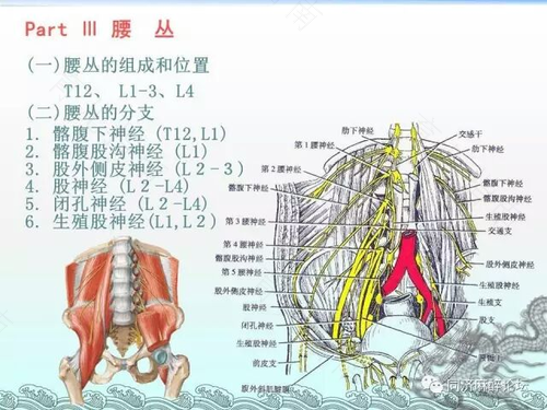 骶神经调节术效果好吗 骶神经调节术效果好吗