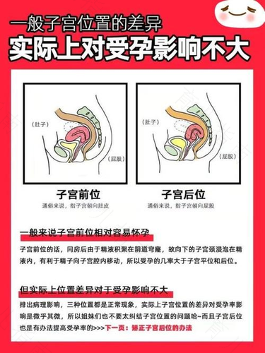 子宫前位大小正常范围是多少mm 子宫前位大小正常范围是多少mm