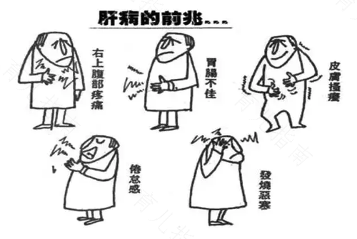 肝不好的症状是什么呢 肝不好的症状是什么呢