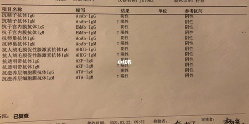 不孕抗体检查是什么