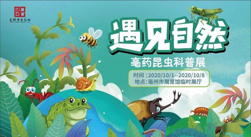 启动有害昆虫科普展览 超威贝贝健打造夏季驱蚊防疾矩阵