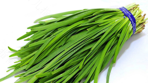 肠胃不好能不能吃韭菜饺子 肠胃不好能不能吃韭菜饺子