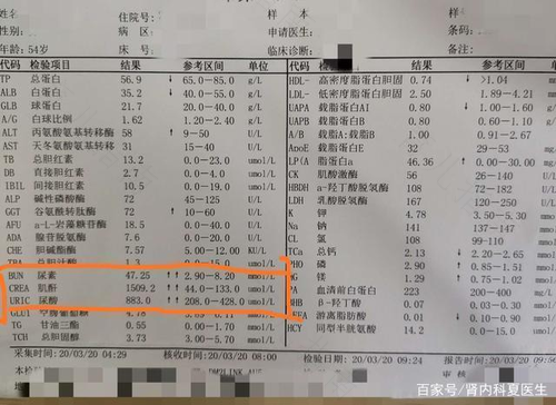 肾积水是怎么造成的 肾积水是怎么造成的