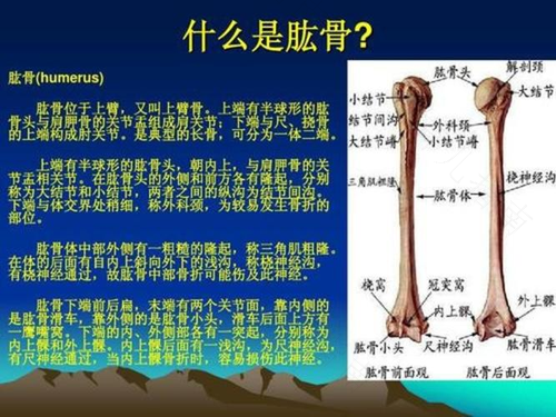 肱骨外上髁炎能干活吗