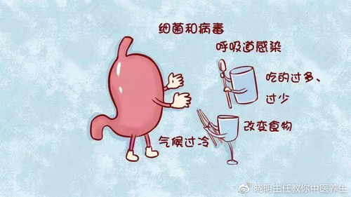 肠胃炎能不能吃饭团 肠胃炎能不能吃饭团