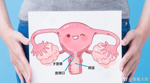 子宫颈发炎用什么药 子宫颈发炎用什么药