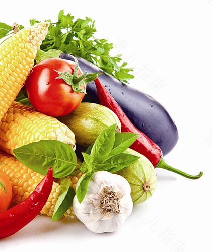 脂肪肝不能吃什么蔬菜 脂肪肝不能吃什么蔬菜