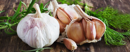 糖尿病的人可以吃大蒜吗 糖尿病的人可以吃大蒜吗
