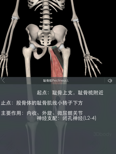 耻骨疼痛怎么办 耻骨疼痛怎么办