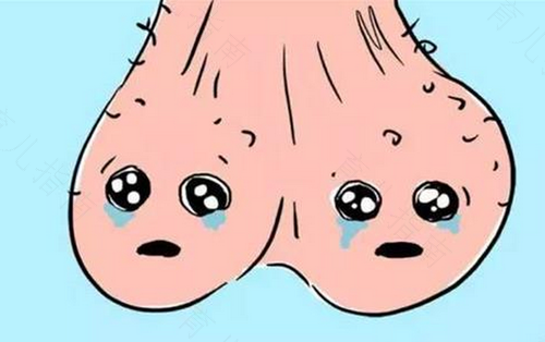 左边睾丸连着腰胀痛 左边睾丸连着腰胀痛