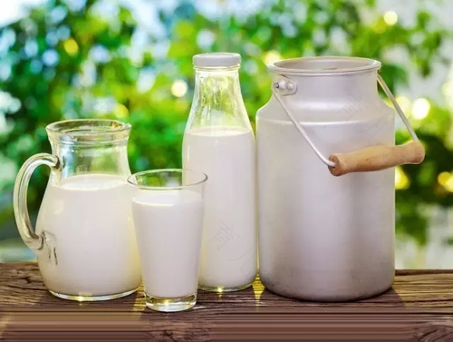 贫血的人能不能喝牛奶 贫血的人能不能喝牛奶