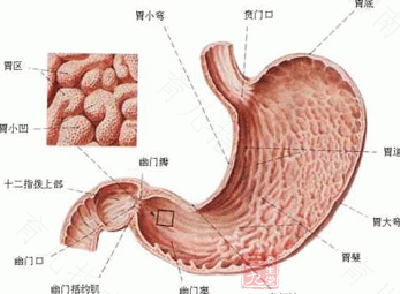 肠胃炎会演变成胃癌吗 肠胃炎会演变成胃癌吗