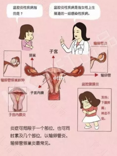 狗狗子宫积液怎么治疗 狗狗子宫积液怎么治疗