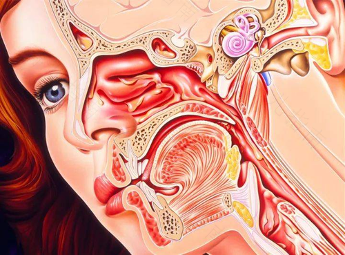 感冒引起的鼻窦炎会自愈吗 感冒引起的鼻窦炎会自愈吗