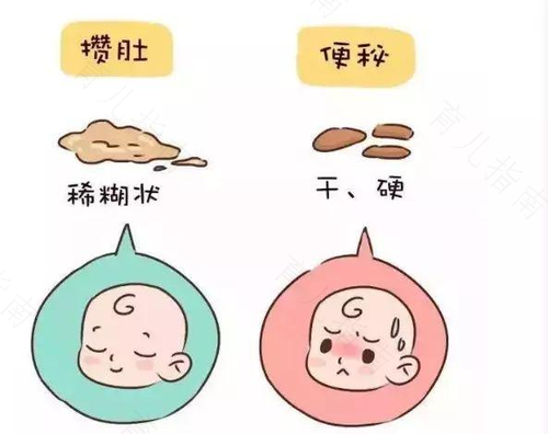 便秘和喝水量没有直接关系——母乳易消化不便秘
