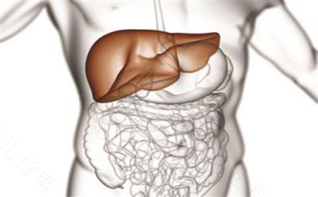 右上腹痛是怎么回事女性 右上腹痛是怎么回事女性