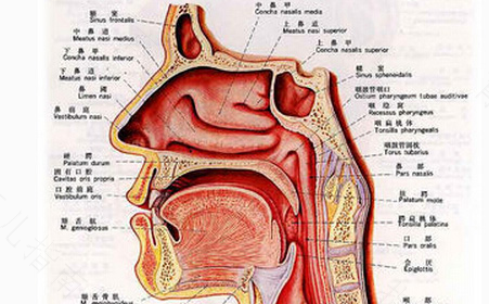 鼻窦囊肿如何治疗 鼻窦囊肿如何治疗