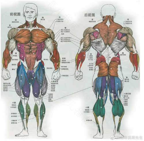 腰和大腿后面的筋疼怎么办 腰和大腿后面的筋疼怎么办