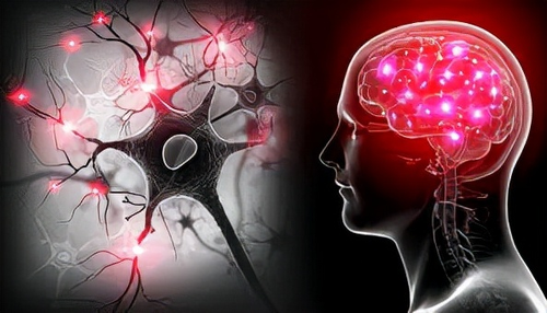 脑袋笨反应慢怎么办 脑袋笨反应慢怎么办