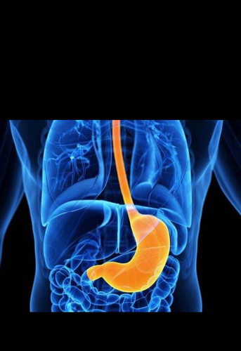 肚子长期胀气怎么办老放屁 肚子长期胀气怎么办老放屁