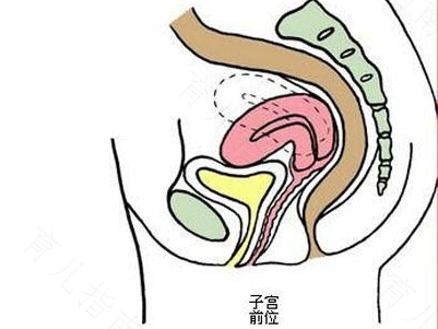 子宫后位的症状有哪些 子宫后位的症状有哪些
