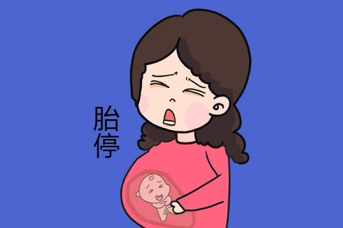 胎停育的相关症状