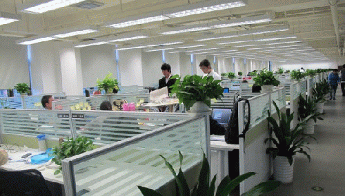 现代办公室的空气质量令人堪忧