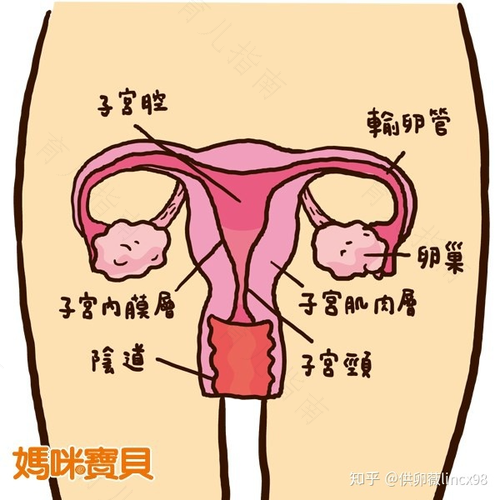 孕妇宫腔粘连会不会造成流产呢