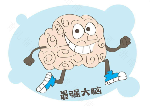 良好的大脑发展从学步做起