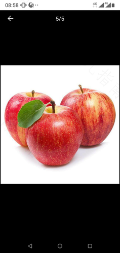 胃酸能不能吃苹果和葡萄 胃酸能不能吃苹果和葡萄