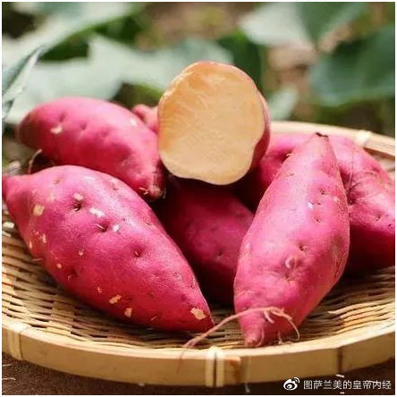 感冒能不能吃地瓜干