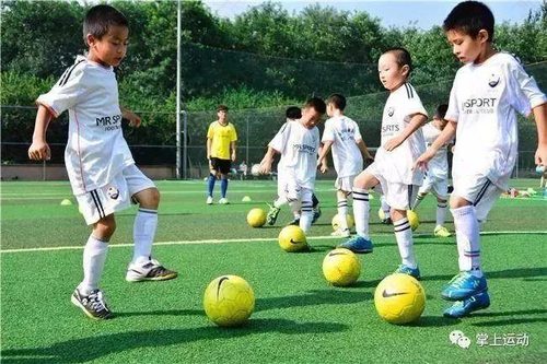 孩子团队运动不可欠缺的交流能力