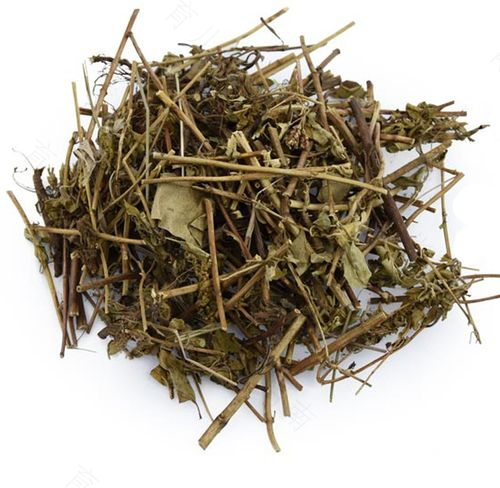 喝茵陈水上火吗 喝茵陈水上火吗