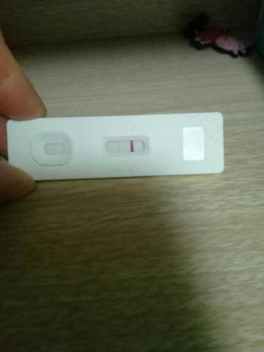 假孕现象会有什么症状 假孕现象会有什么症状