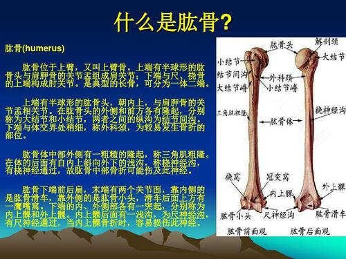 肱骨外上髁炎可以针灸吗 肱骨外上髁炎可以针灸吗
