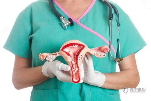 正常人的宫颈口有多大 正常人的宫颈口有多大