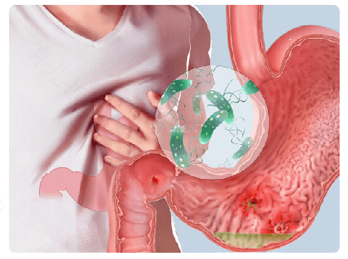 8岁儿童胃口不好怎么调理 8岁儿童胃口不好怎么调理