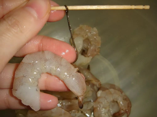 感冒能不能吃虾? 感冒能不能吃虾?