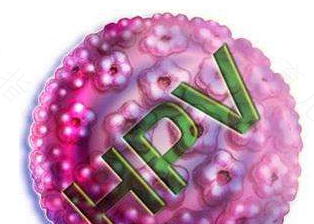 Hpv病毒感染能根治吗 Hpv病毒感染能根治吗