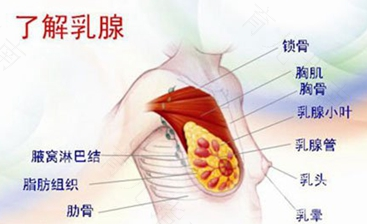 游泳对乳腺增生有好处吗